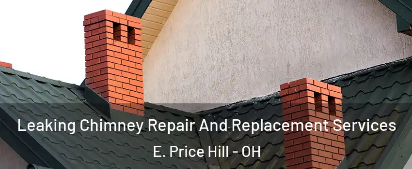 Leaking Chimney Repair And Replacement Services E. Price Hill - OH