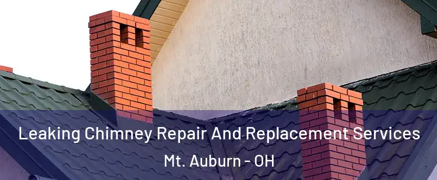 Leaking Chimney Repair And Replacement Services Mt. Auburn - OH