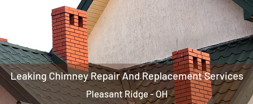 Leaking Chimney Repair And Replacement Services Pleasant Ridge - OH