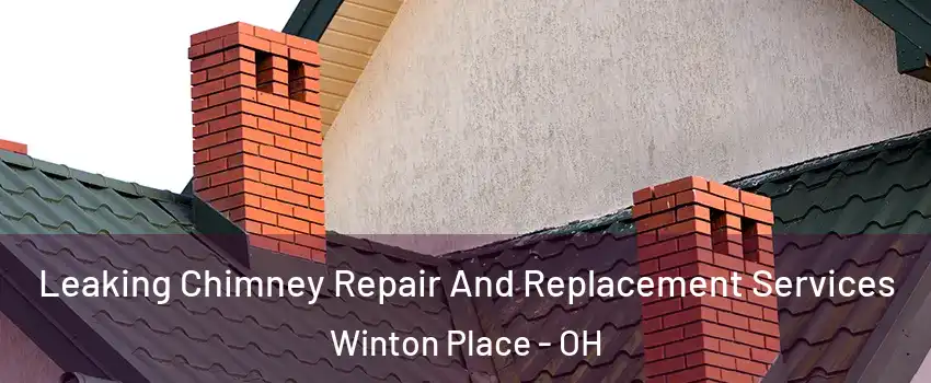 Leaking Chimney Repair And Replacement Services Winton Place - OH