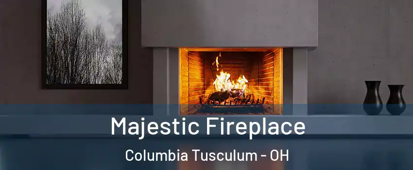 Majestic Fireplace Columbia Tusculum - OH