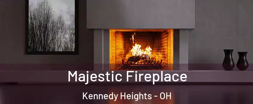 Majestic Fireplace Kennedy Heights - OH