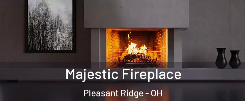 Majestic Fireplace Pleasant Ridge - OH