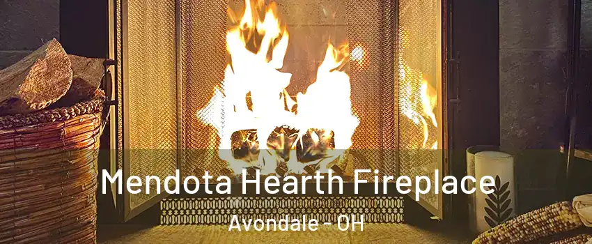 Mendota Hearth Fireplace Avondale - OH