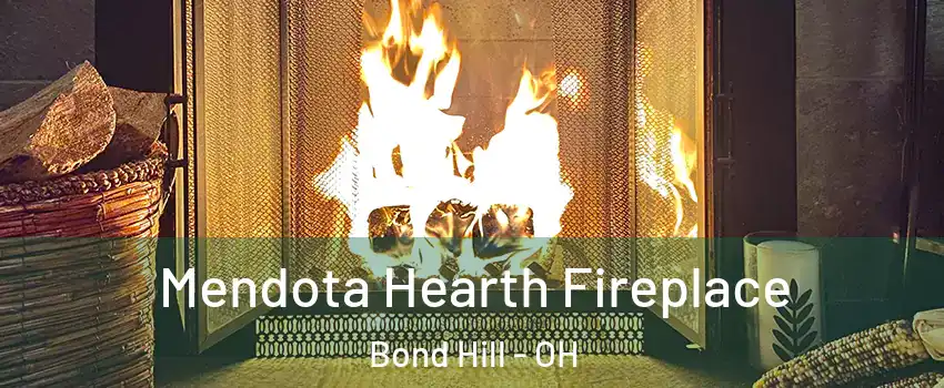 Mendota Hearth Fireplace Bond Hill - OH