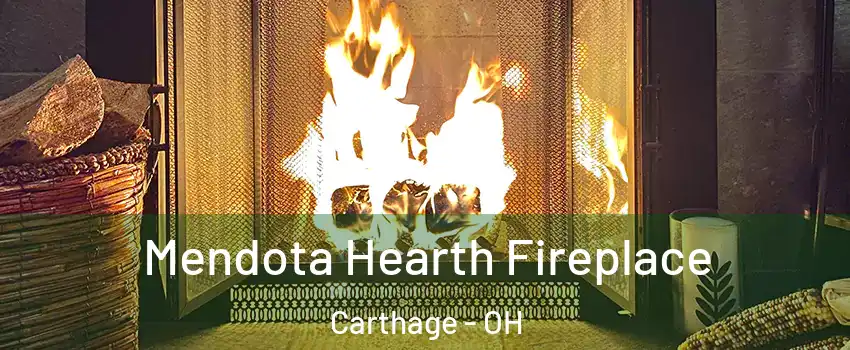 Mendota Hearth Fireplace Carthage - OH