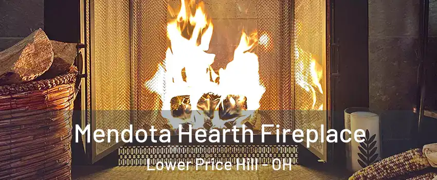 Mendota Hearth Fireplace Lower Price Hill - OH