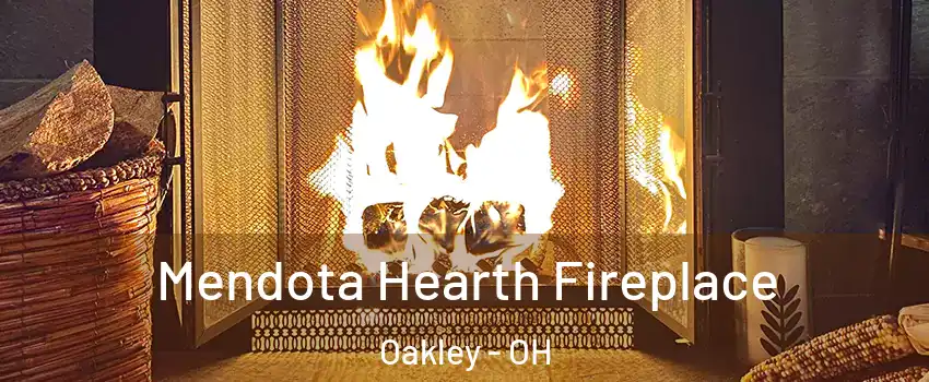 Mendota Hearth Fireplace Oakley - OH