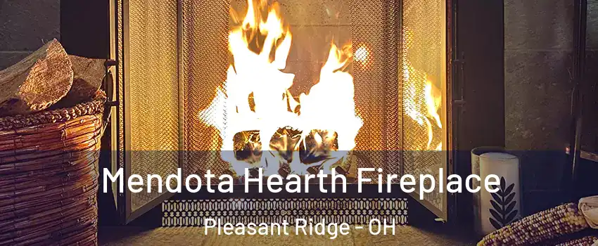 Mendota Hearth Fireplace Pleasant Ridge - OH