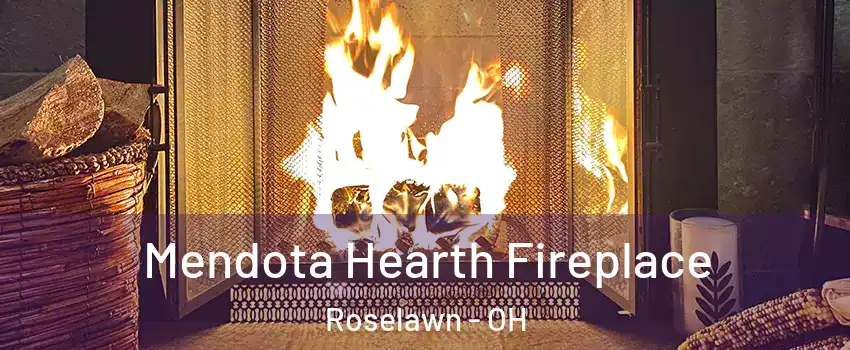 Mendota Hearth Fireplace Roselawn - OH