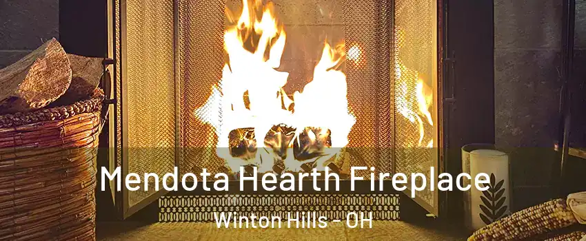 Mendota Hearth Fireplace Winton Hills - OH