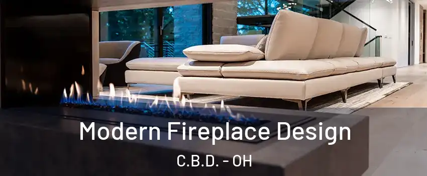 Modern Fireplace Design C.B.D. - OH