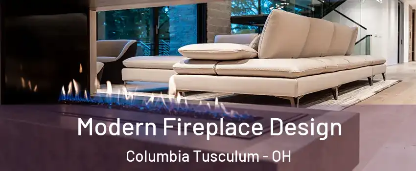 Modern Fireplace Design Columbia Tusculum - OH