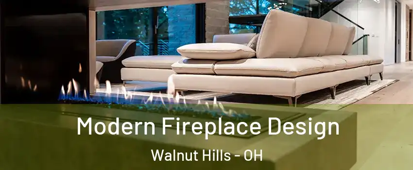 Modern Fireplace Design Walnut Hills - OH