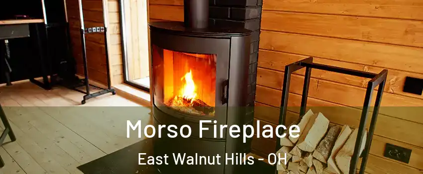 Morso Fireplace East Walnut Hills - OH