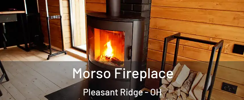 Morso Fireplace Pleasant Ridge - OH