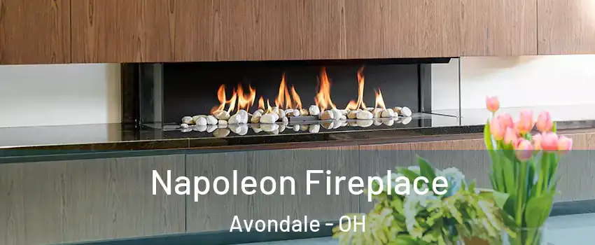 Napoleon Fireplace Avondale - OH