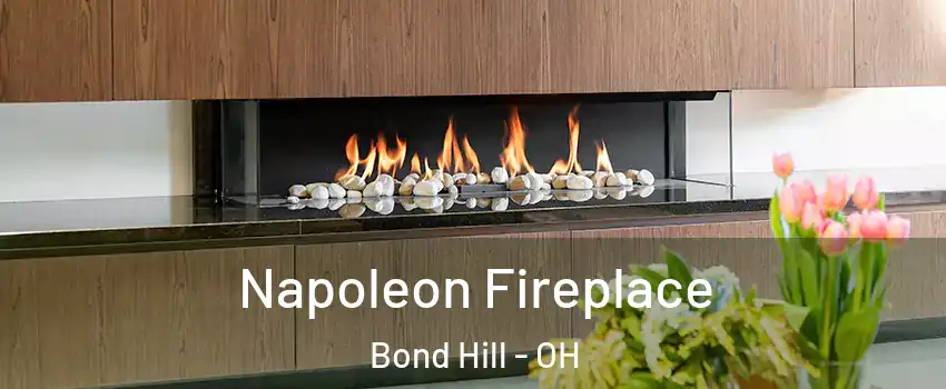 Napoleon Fireplace Bond Hill - OH