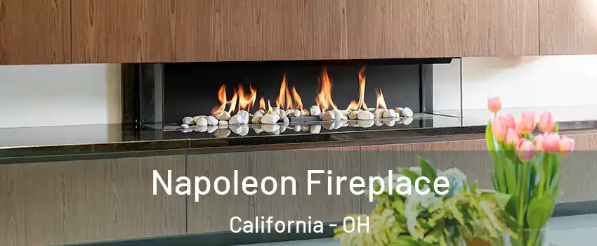 Napoleon Fireplace California - OH