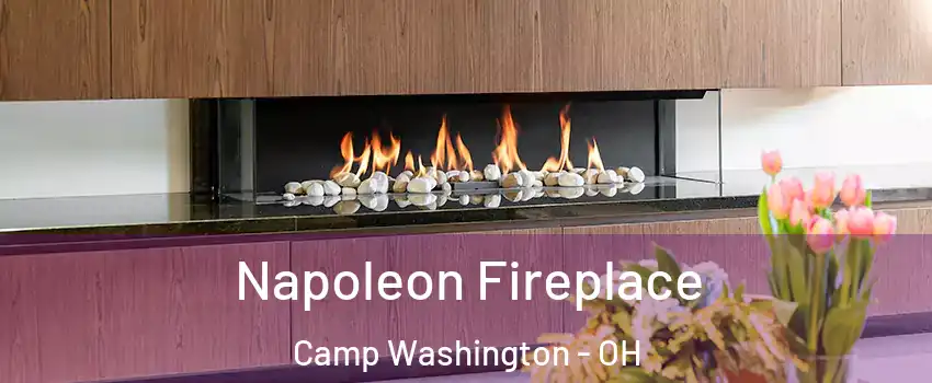 Napoleon Fireplace Camp Washington - OH