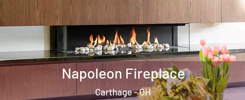 Napoleon Fireplace Carthage - OH