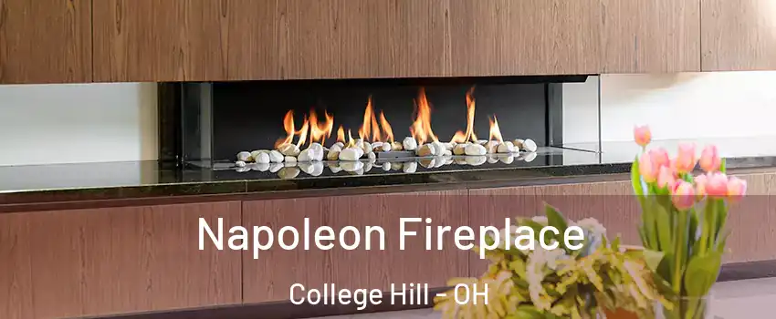 Napoleon Fireplace College Hill - OH