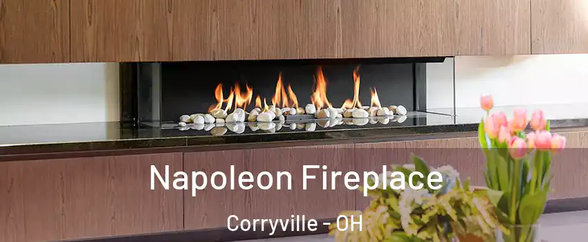 Napoleon Fireplace Corryville - OH