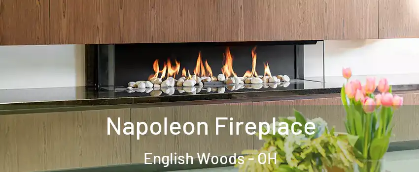 Napoleon Fireplace English Woods - OH