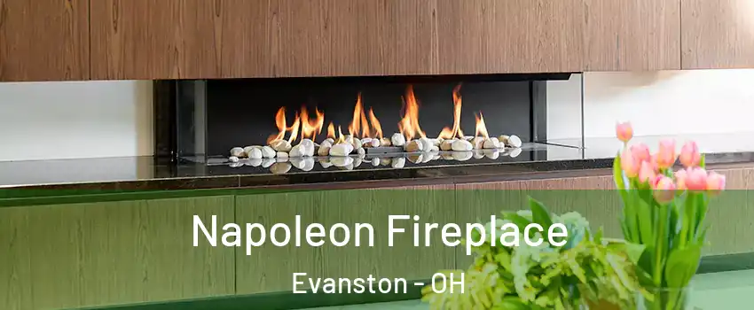 Napoleon Fireplace Evanston - OH