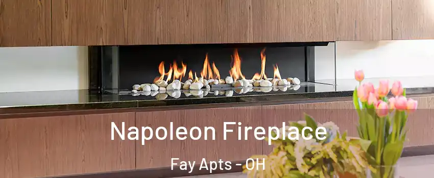 Napoleon Fireplace Fay Apts - OH