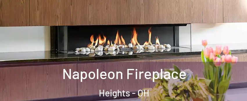 Napoleon Fireplace Heights - OH