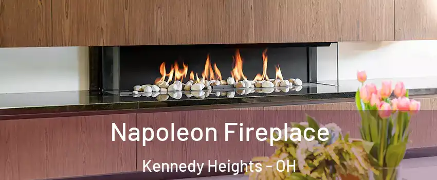 Napoleon Fireplace Kennedy Heights - OH