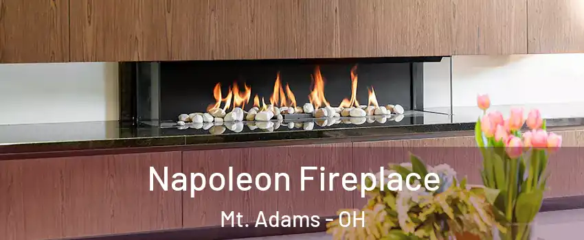 Napoleon Fireplace Mt. Adams - OH