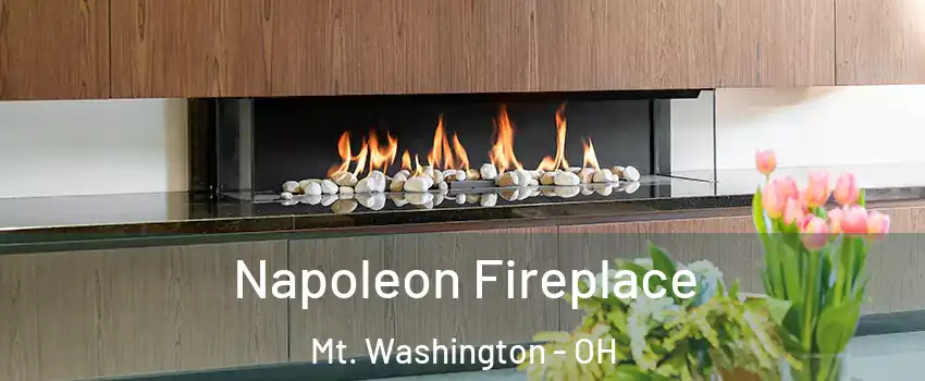 Napoleon Fireplace Mt. Washington - OH