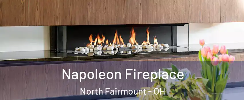 Napoleon Fireplace North Fairmount - OH