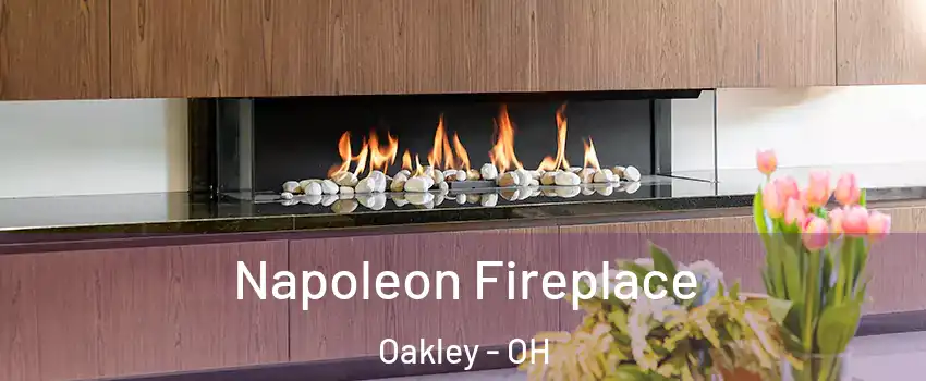 Napoleon Fireplace Oakley - OH