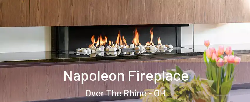 Napoleon Fireplace Over The Rhine - OH