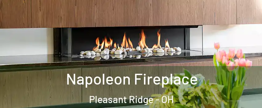 Napoleon Fireplace Pleasant Ridge - OH