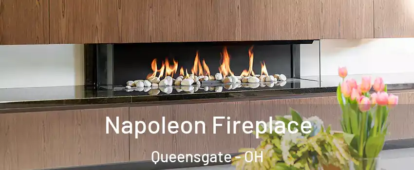 Napoleon Fireplace Queensgate - OH