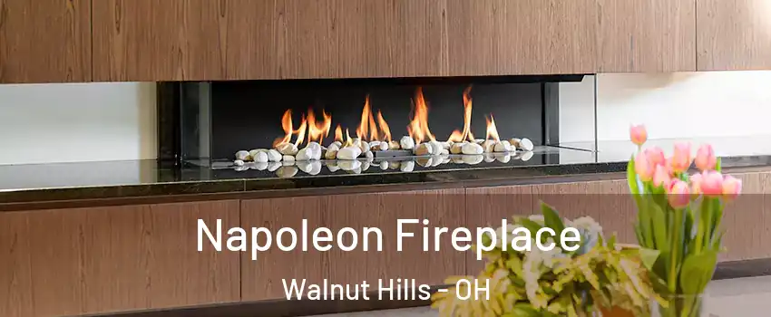 Napoleon Fireplace Walnut Hills - OH