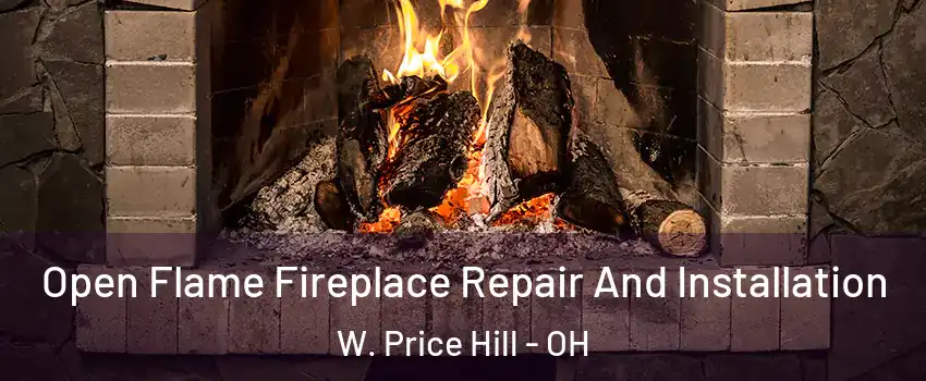 Open Flame Fireplace Repair And Installation W. Price Hill - OH