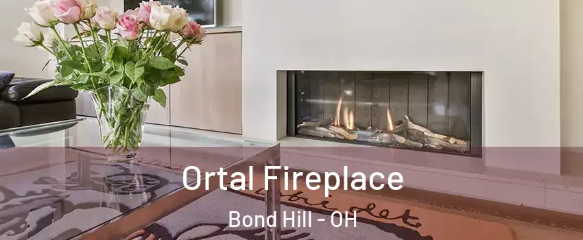 Ortal Fireplace Bond Hill - OH