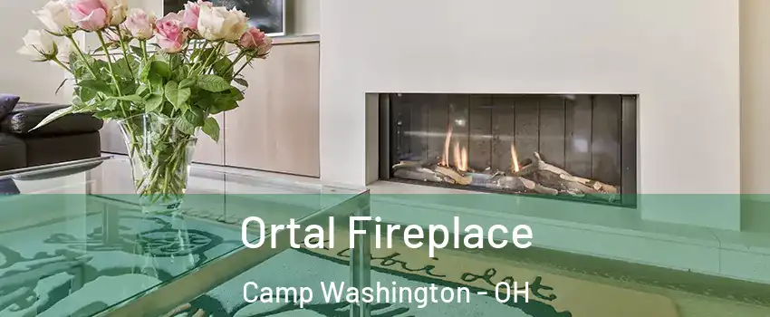 Ortal Fireplace Camp Washington - OH