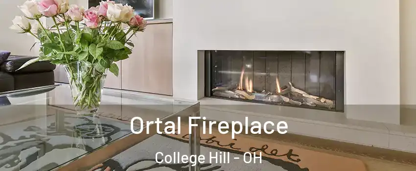 Ortal Fireplace College Hill - OH