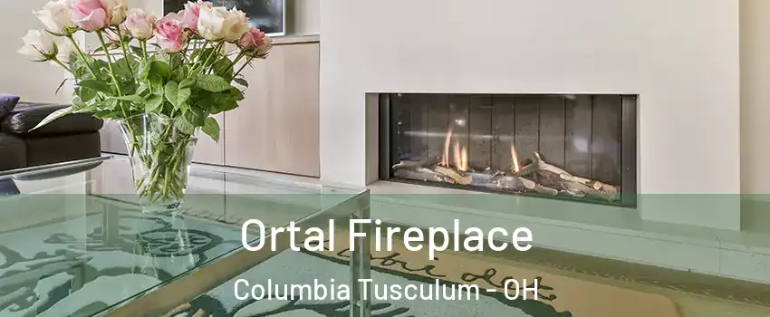 Ortal Fireplace Columbia Tusculum - OH