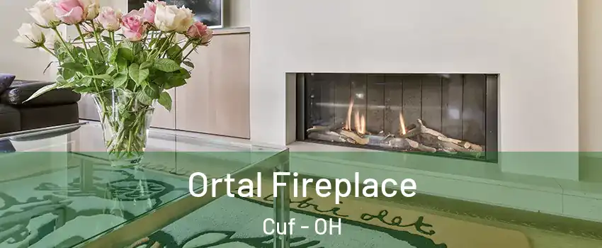 Ortal Fireplace Cuf - OH