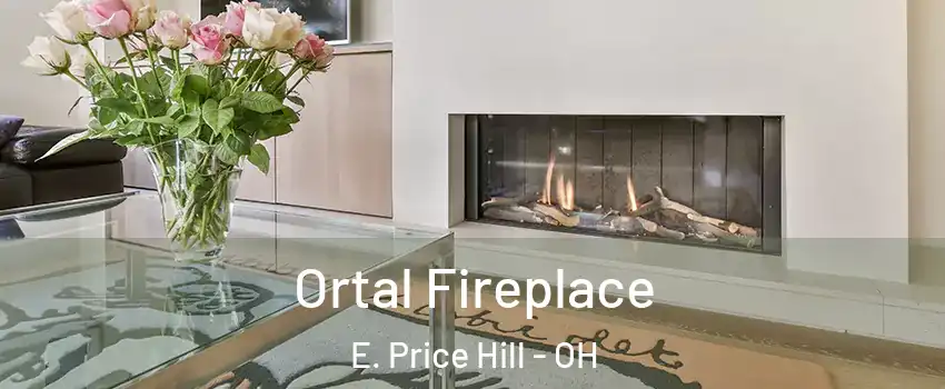 Ortal Fireplace E. Price Hill - OH