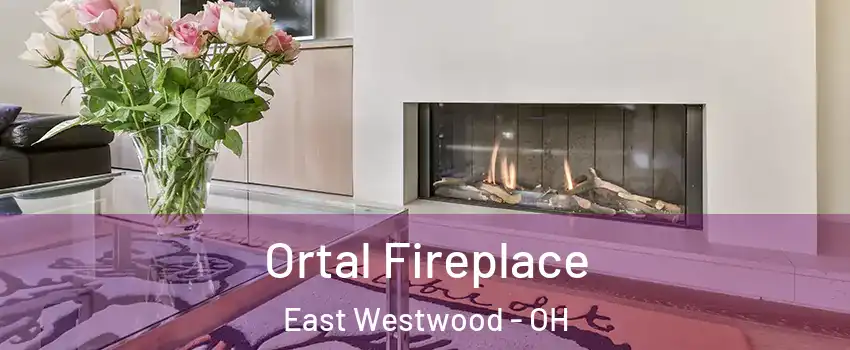 Ortal Fireplace East Westwood - OH