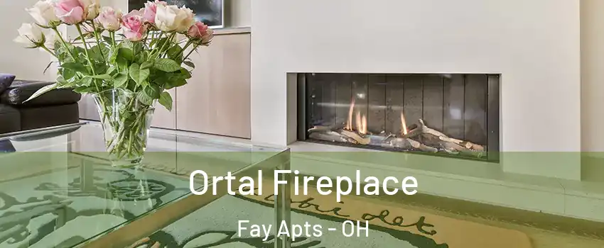 Ortal Fireplace Fay Apts - OH