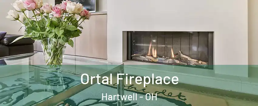 Ortal Fireplace Hartwell - OH